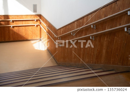 On the school stairs before going to school On the school stairs before going to school 135736024