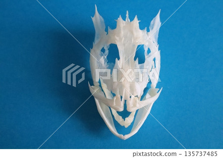 Skeleton of a rockfish (blue background) 135737485