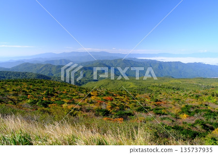 Autumn leaves and a sea of clouds near the summit of Mount Zao, Miyagi Prefecture 135737935
