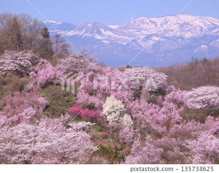 福島市花山山公園 福島市花山山公園 135738625