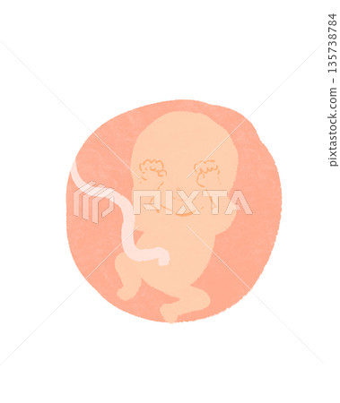 可愛的胎兒插圖 可愛的胎兒插圖 135738784