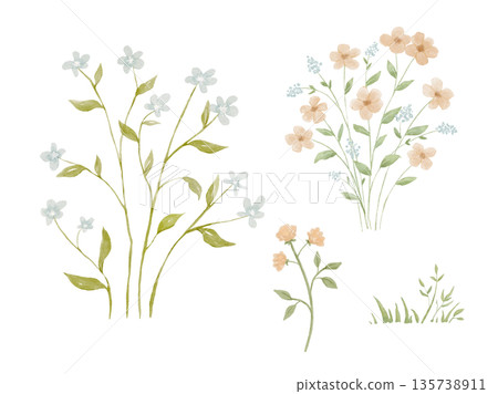Watercolour wildflowers painting on isolated background, forest greenery in rural field. Nature elements Watercolour wildflowers painting on isolated background, forest greenery in rural field. Nature elements 135738911