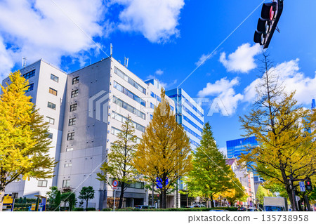 仙台廣瀨街的秋天 135738958
