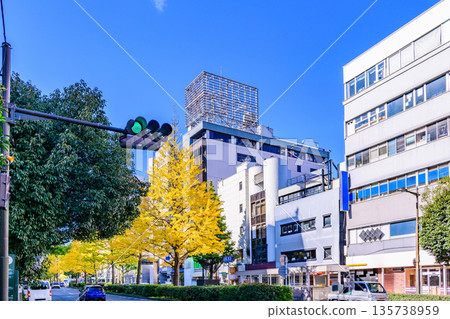 Sendai Hirose Street Autumn Sendai Hirose Street Autumn 135738959