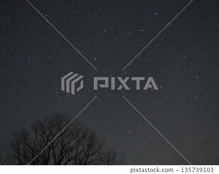 冬木與北斗 (20260121040921) 冬木與北斗 (20260121040921) 135739103