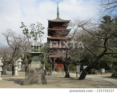 千葉縣市川市!法京寺五重塔 千葉縣市川市!法京寺五重塔 135739137