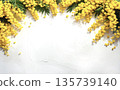 Spring-like copy space with yellow mimosa and a white painted wall. AI-generated image 135739140
