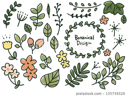 Botanical hand-drawn set (colorful) Botanical hand-drawn set (colorful) 135739320