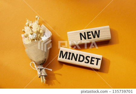 Mindset symbol. Wooden blocks with words New Mindset. Beautiful orange background. Business and New Mindset concept. Copy space. Mindset symbol. Wooden blocks with words New Mindset. Beautiful orange background. Business and New Mindset concept. Copy space. 135739701