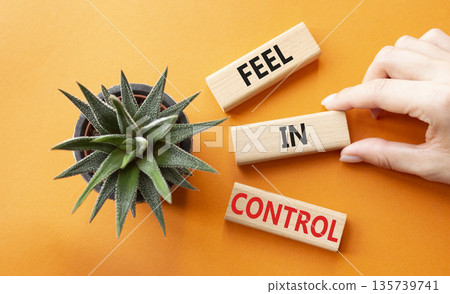 Feel in Control symbol. Wooden blocks with words Feel in Control. Beautiful orange background with succulent plant. Businessman hand. Business and Feel in Control concept. Copy space. 135739741