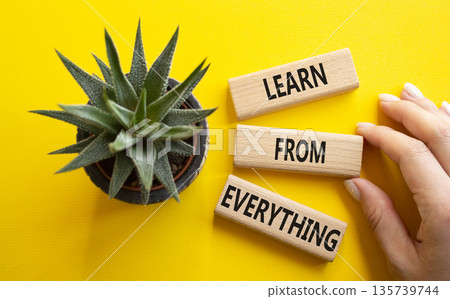 Learn from Everything symbol. Wooden blocks with words Learn from Everything. Businessman hand. Beautiful yellow background with succulent plant. Business and Learn from Everything concept. Copy 135739744