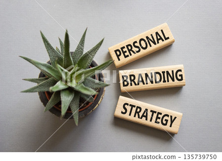 Personal Branding Strategy symbol. Wooden blocks with words Personal Branding Strategy. Beautiful grey background with succulent plant. Business concept. Copy space. 135739750
