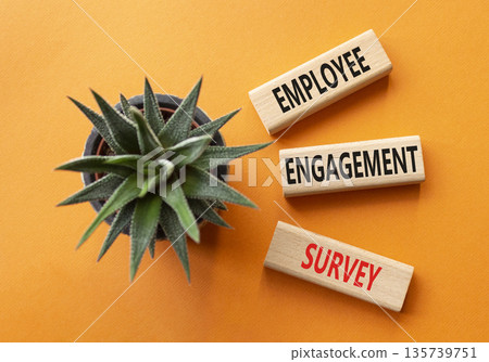 Employee Engagement Survey symbol. Concept words Employee Engagement Survey on wooden blocks. Businessman hand. Beautiful orange background with succulent. Business concept. Copy space. 135739751