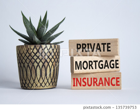 Private Mortgage Insurance symbol. Wooden blocks with words Private Mortgage Insurance. Beautiful white background with succulent plant. Business concept. Copy space. Private Mortgage Insurance symbol. Wooden blocks with words Private Mortgage Insurance. Beautiful white background with succulent plant. Business concept. Copy space. 135739753