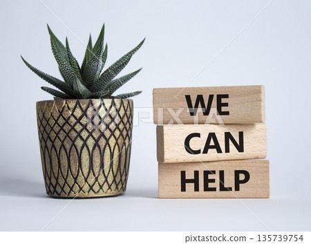 We can help symbol. Wooden blocks with words We can help. Beautiful white background with succulent. Business and We can help concept. Copy space. We can help symbol. Wooden blocks with words We can help. Beautiful white background with succulent. Business and We can help concept. Copy space. 135739754