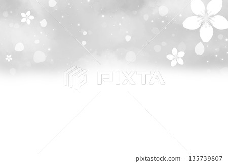 Background with gray cherry blossoms and petals at the top Background with gray cherry blossoms and petals at the top 135739807