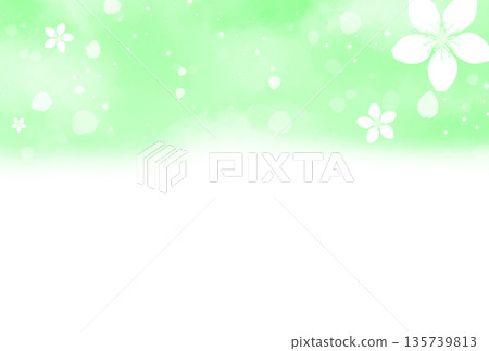 Background with pale green cherry blossom flowers and petals at the top Background with pale green cherry blossom flowers and petals at the top 135739813