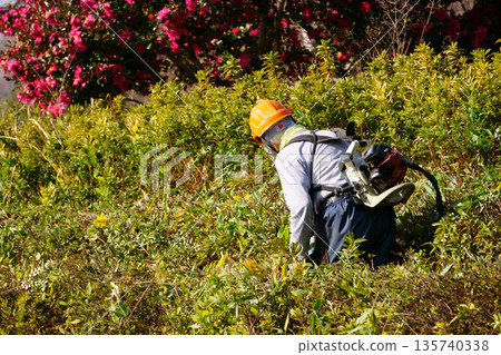 A person who trims tree branches 135740338