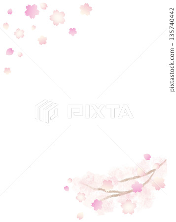 Spring-colored cherry blossom watercolor hand-painted background frame material vertical Spring-colored cherry blossom watercolor hand-painted background frame material vertical 135740442