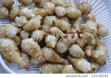 Jerusalem artichoke Jerusalem artichoke 135740705