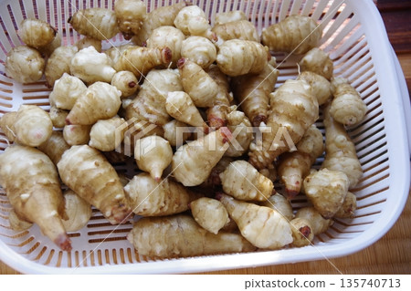 Harvested Jerusalem artichoke Harvested Jerusalem artichoke 135740713