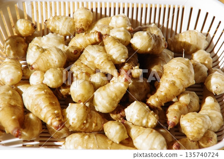 Harvested Jerusalem artichoke Harvested Jerusalem artichoke 135740724