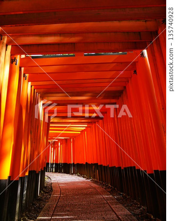 Endless rows of torii gates at Fushimi Inari Taisha Shrine in Kyoto 135740928