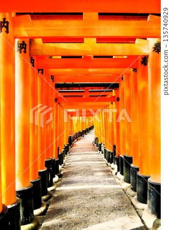 Endless rows of torii gates at Fushimi Inari Taisha Shrine in Kyoto Endless rows of torii gates at Fushimi Inari Taisha Shrine in Kyoto 135740929