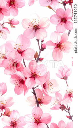 Beautiful spring floral background in watercolor style with pale pink cherry blossoms Beautiful spring floral background in watercolor style with pale pink cherry blossoms 135741050