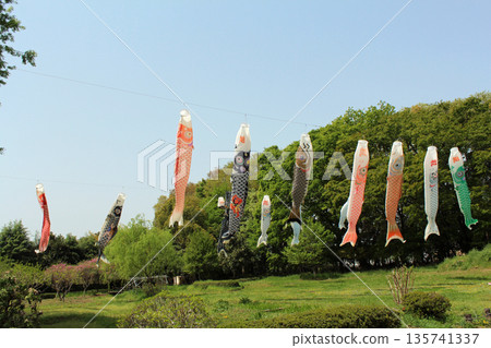 鯉魚流節日節日 鯉魚流節日節日 135741337