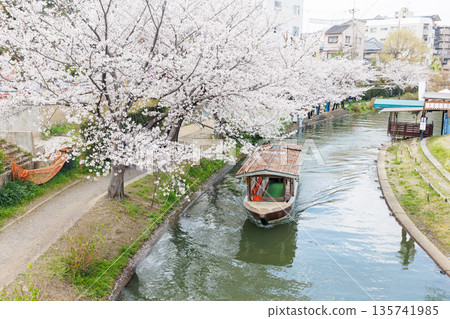 Fushimi Jikkokubune boats with cherry blossoms in Kyoto (people and logos redacted) Fushimi Jikkokubune boats with cherry blossoms in Kyoto (people and logos redacted) 135741985