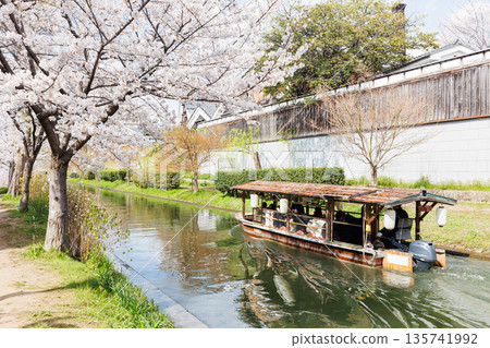 Fushimi Jikkokubune boats with cherry blossoms in Kyoto (people and logos redacted) 135741992
