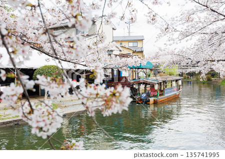 Fushimi Jikkokubune boats with cherry blossoms in Kyoto (people and logos redacted) 135741995