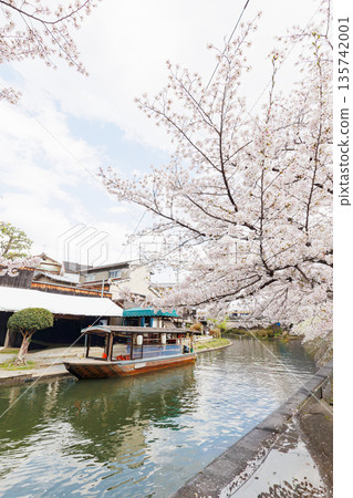Fushimi Jikkokubune boats with cherry blossoms in Kyoto (people and logos redacted) Fushimi Jikkokubune boats with cherry blossoms in Kyoto (people and logos redacted) 135742001