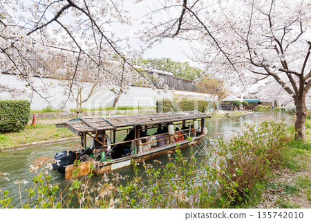 Fushimi Jikkokubune boats with cherry blossoms in Kyoto (people and logos redacted) 135742010