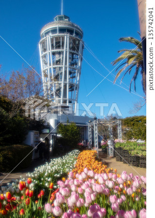 Enoshima Cocking Garden Sea Candle 135742041