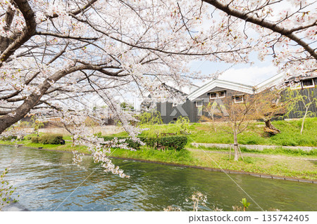 Fushimi Jikkokubune boats with cherry blossoms in Kyoto (people and logos redacted) 135742405