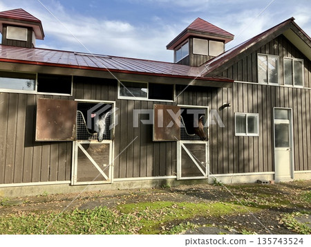 Horse stables Horse stables 135743524