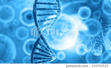 Human DNA Human DNA 135743525
