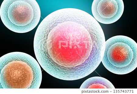 Human cells Human cells 135743771