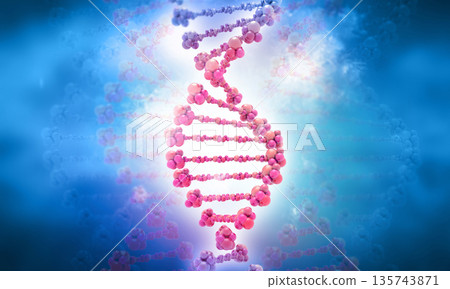 Human DNA Human DNA 135743871