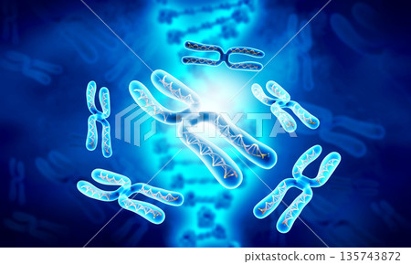 Chromosome Chromosome 135743872