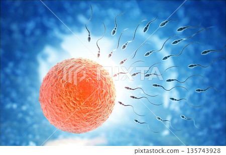 Sperm with egg Sperm with egg 135743928