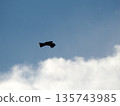 風箏飛過天空 135743985