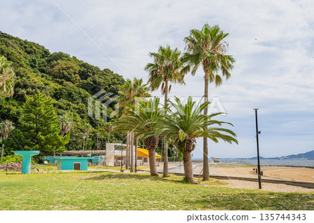 愛知縣蒲郡市西浦海灘週邊的景色 愛知縣蒲郡市西浦海灘週邊的景色 135744343
