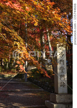 秋季的毘沙門堂入口(京都市山科區) 秋季的毘沙門堂入口(京都市山科區) 135744608