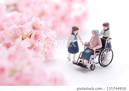 Cherry blossoms, a wheelchair grandmother and family, a spring landscape of new students, 3D illustration 135744938