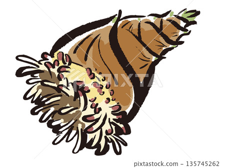 Freshly dug bamboo shoots with roots still attached - A dynamic Japanese-style illustration Freshly dug bamboo shoots with roots still attached - A dynamic Japanese-style illustration 135745262
