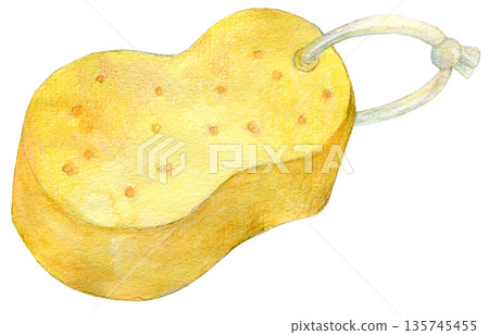 水彩插畫，手繪黃色海綿 135745455