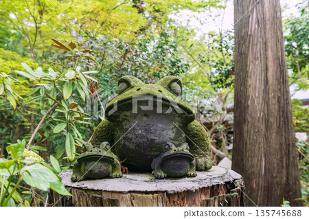 Frog stone statue at Nyoirinji Temple, Ogori, Fukuoka Frog stone statue at Nyoirinji Temple, Ogori, Fukuoka 135745688